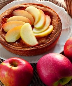 Brighter Blooms Apples Trees Pink Lady Apple Tree