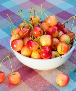 Brighter Blooms Fruit Trees Rainier Cherry Tree