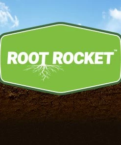 Brighter Blooms Fertilizers & Soil Additives Root Rocket Fertilizer