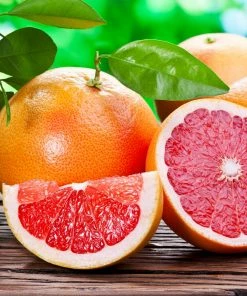 Brighter Blooms Ruby Red Grapefruit Tree New Trees 7 Brighter Blooms Ruby Red Grapefruit Tree New Trees