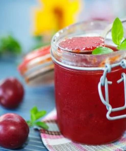 Brighter Blooms Santa Rosa Plum Tree