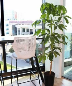 Brighter Blooms Umbrella Tree House & Patio