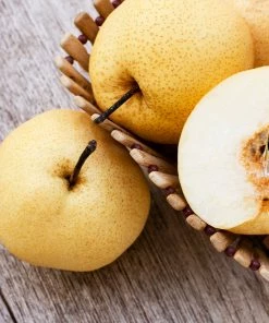 Brighter Blooms Shinseiki Asian Pear Tree