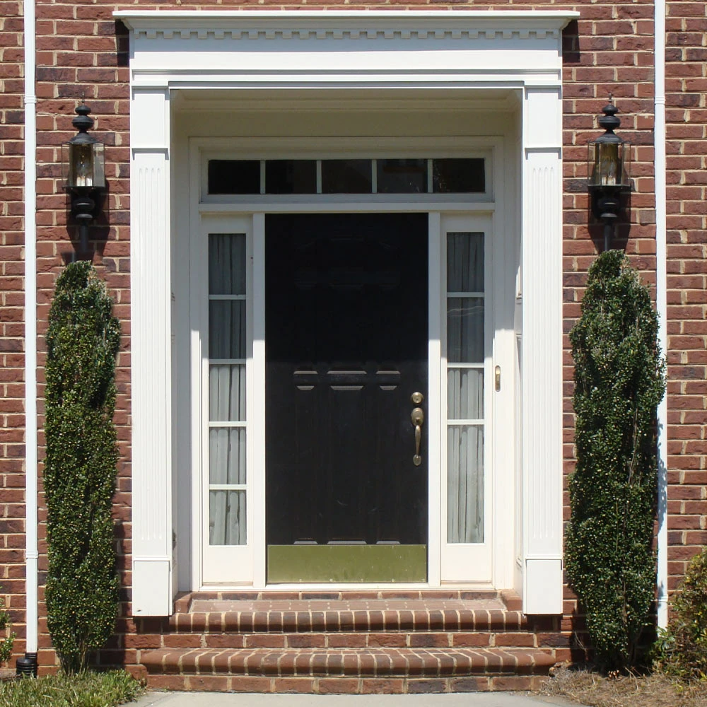 Brighter Blooms Evergreen & Privacy Sky Pencil Holly Tree 5 Brighter Blooms Evergreen & Privacy Sky Pencil Holly Tree