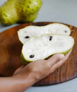 Brighter Blooms Soursop 'Guanabana' Tree Fruit Trees 9 Brighter Blooms Soursop 'Guanabana' Tree Fruit Trees