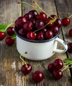 Brighter Blooms Stella Cherry Tree