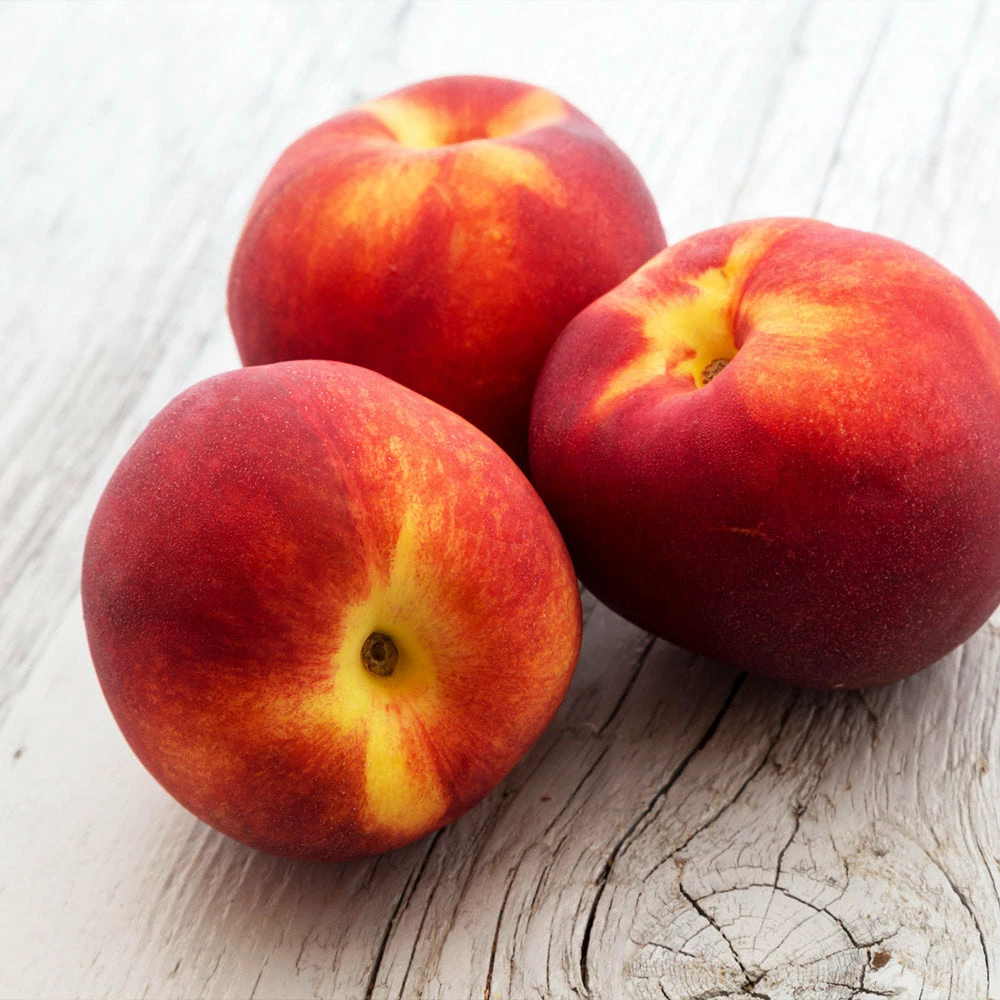 Brighter Blooms Sunglo Nectarine Fruit Trees 3 Brighter Blooms Sunglo Nectarine Fruit Trees