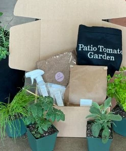 Brighter Blooms House & Patio Patio Tomato Garden