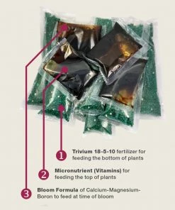 Brighter Blooms Tropical Fruit Tree Care Kit