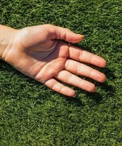 Brighter Blooms TurboTurf™ Bermudagrass Seed