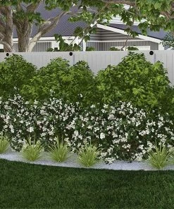 Brighter Blooms Warm-Climate Shade Garden Kit Shrubs & Hedges