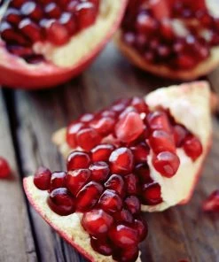 Brighter Blooms Wonderful Pomegranate Tree Fruit Trees